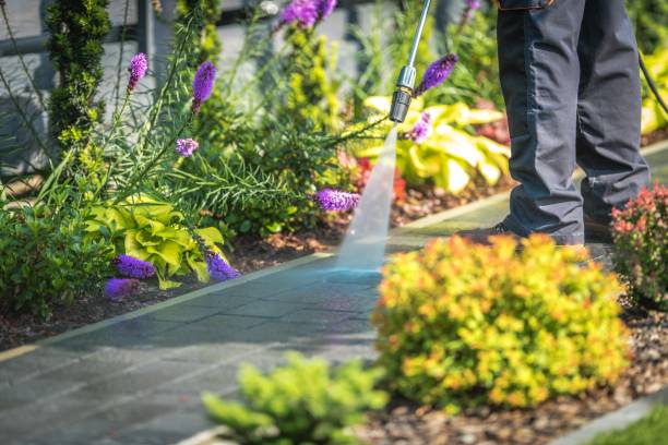 Reliable Palos Hills, IL Pressure Washing Services Solutions