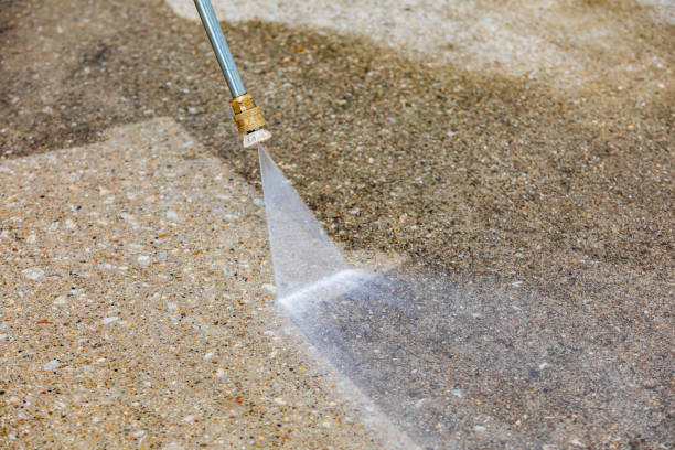 Best Animal Enclosure Cleaning  in Palos Hls, IL